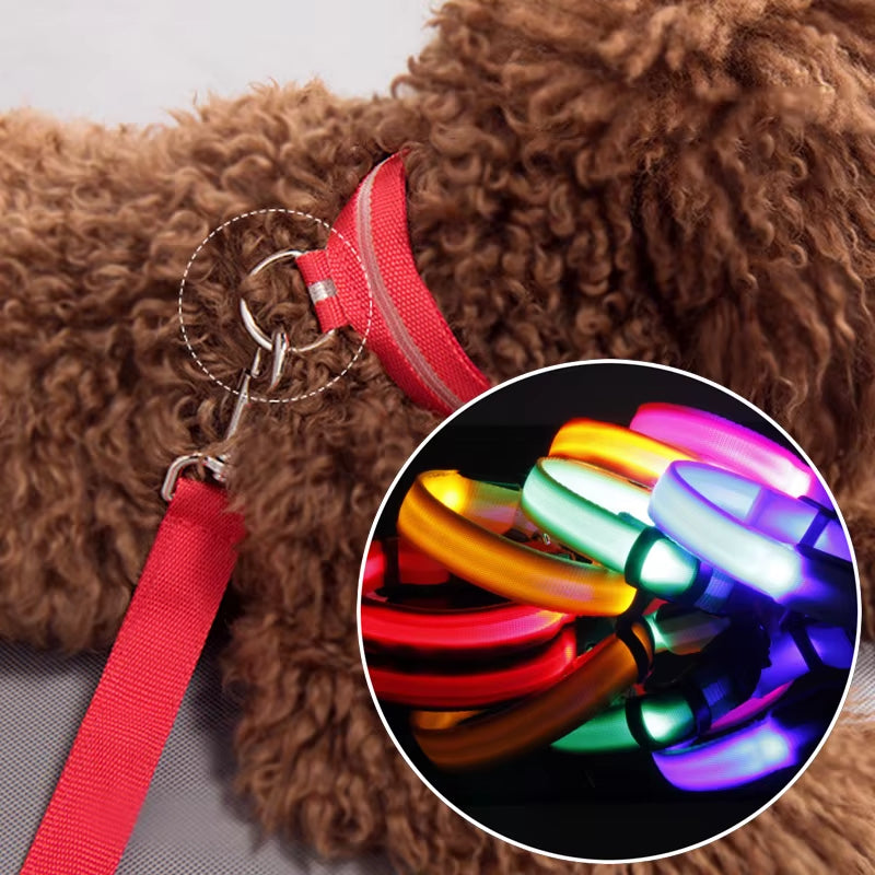 Pet Dogs Luminous Fluorescent Dog Accessories Collar Reflective LED Dog Collar Nylon Night Safety Flashing Glow in the Dark