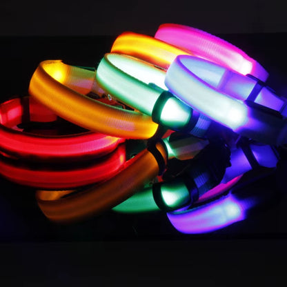 Pet Dogs Luminous Fluorescent Dog Accessories Collar Reflective LED Dog Collar Nylon Night Safety Flashing Glow in the Dark