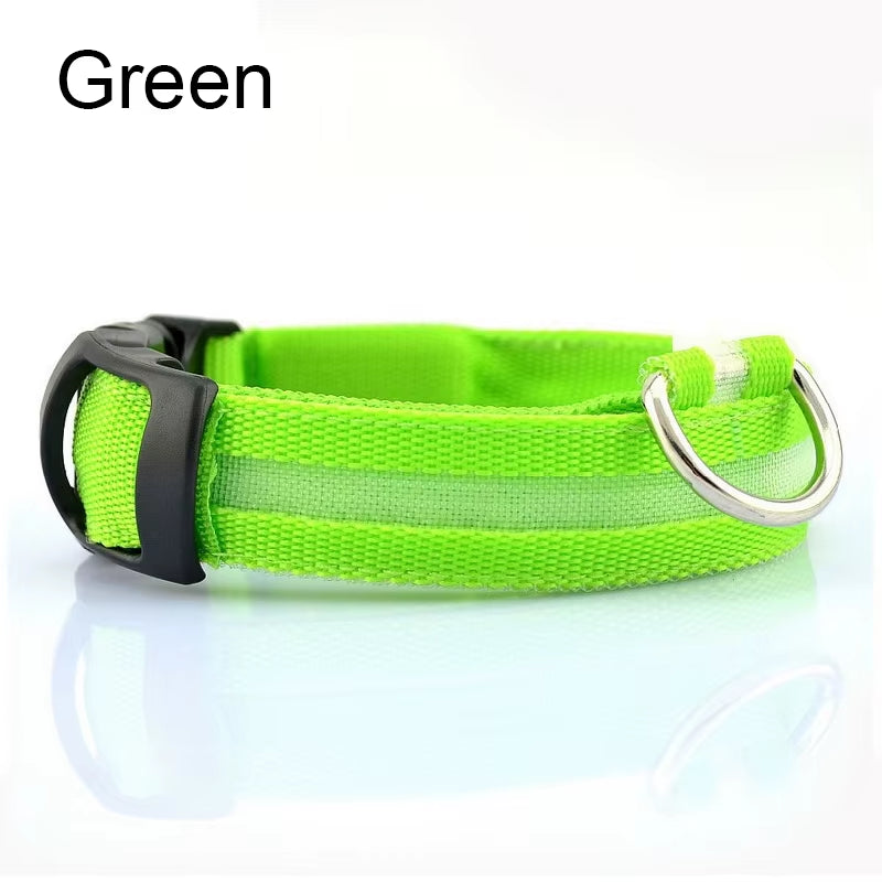 Pet Dogs Luminous Fluorescent Dog Accessories Collar Reflective LED Dog Collar Nylon Night Safety Flashing Glow in the Dark